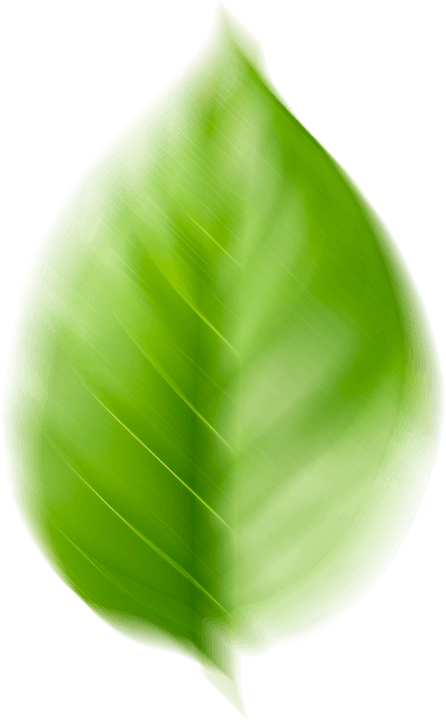 листик