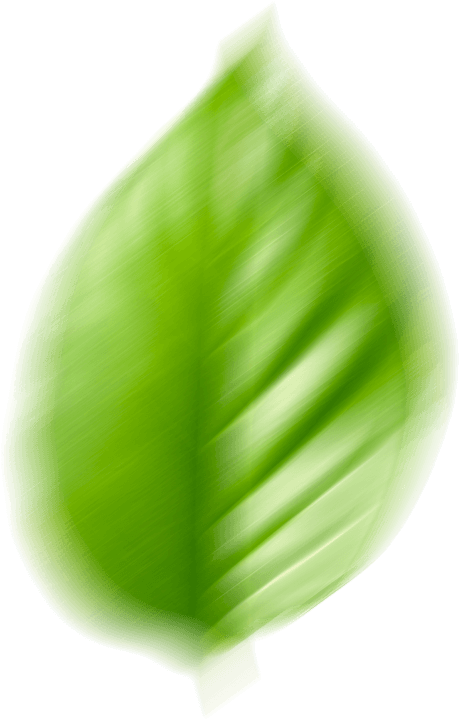 листик